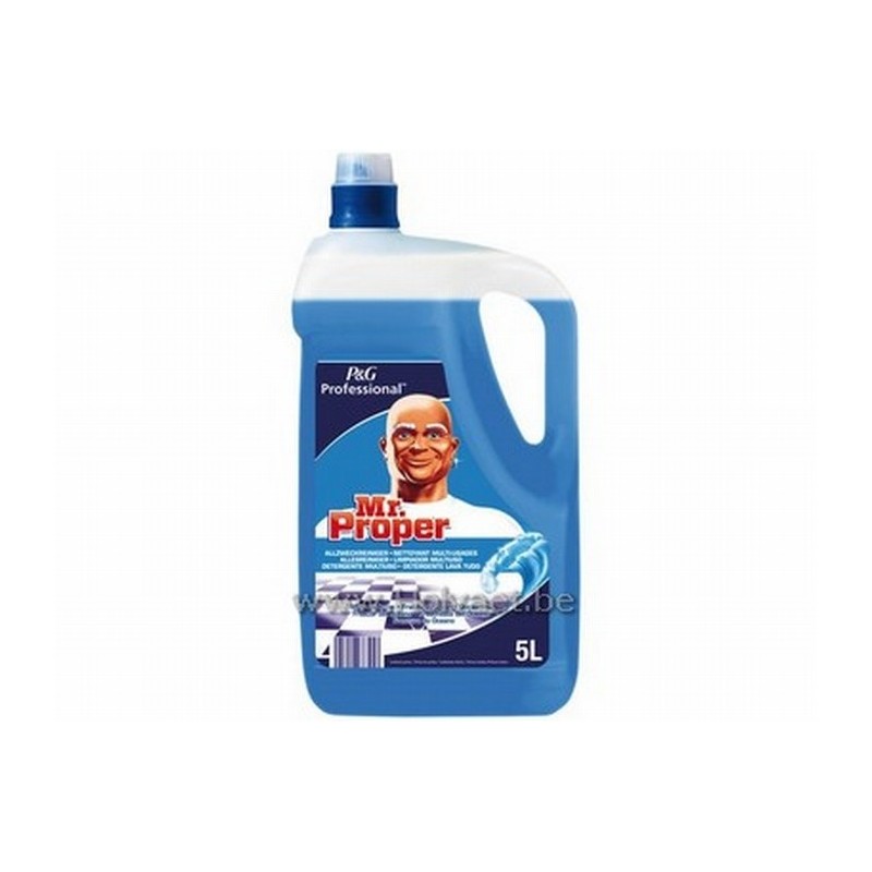 Desinfecterende reinigingsspray voor alle oppervlakken - 750 ml - Mr CLEAN